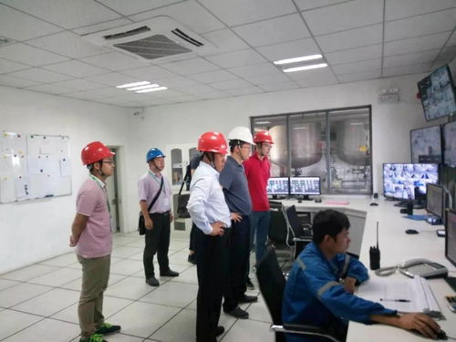中國(guó)紙業(yè)總經(jīng)理張強(qiáng)赴華新包裝珠海工廠開(kāi)展環(huán)保督察暨安全生產(chǎn)檢查